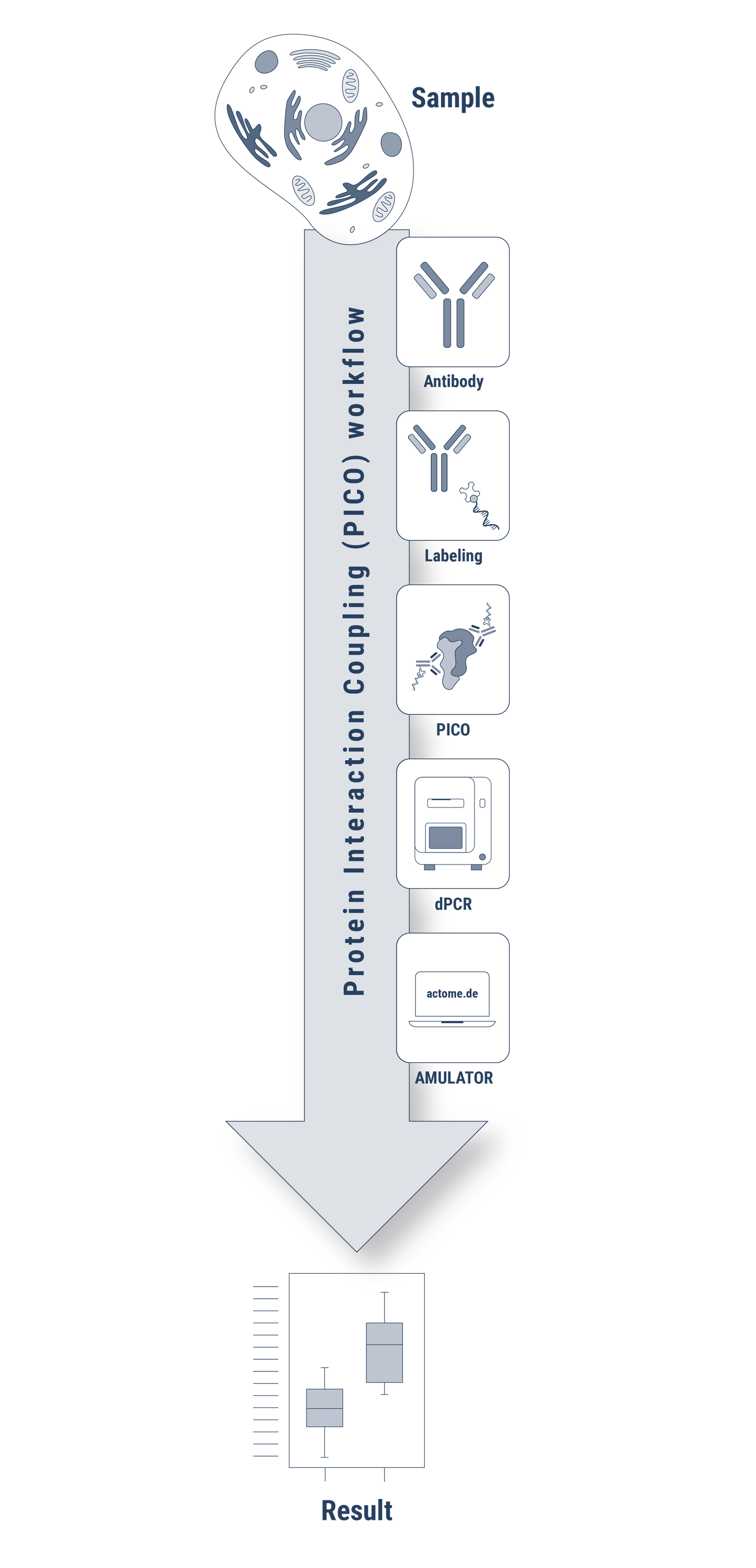 PICO Custom Assay Development Service